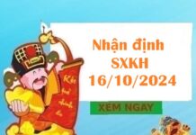 Nhận định SXKH 16/10/2024