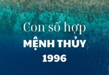 Những con số hợp mệnh Thủy 1996 hợp tuổi dễ sinh lộc