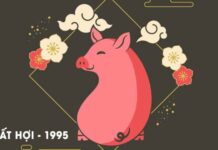 tuổi ất hợi