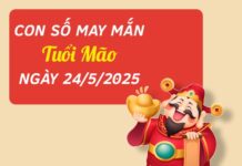 Gợi ý các con số thu hút tài lộc tuổi Mão ngày 24/5/2025
